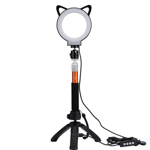 L6 - Image 4