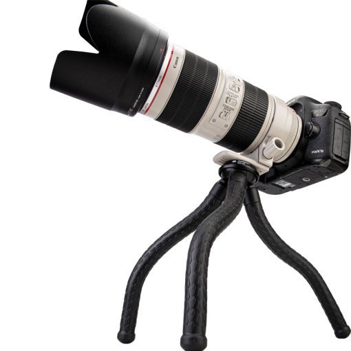 L8 - Image 3