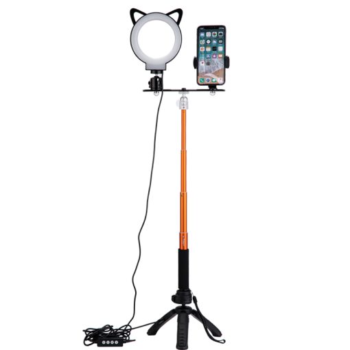 L6 - Image 2