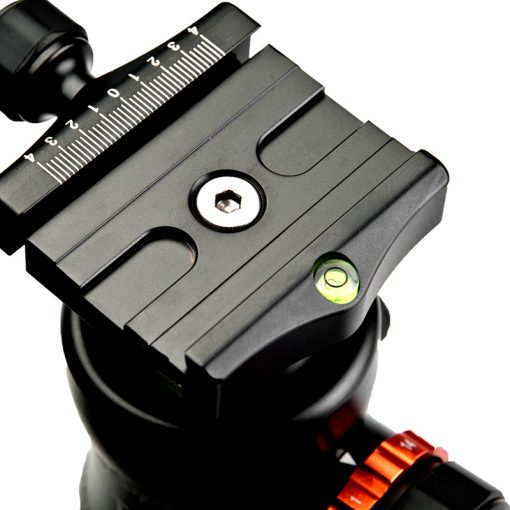 T7 - Image 5