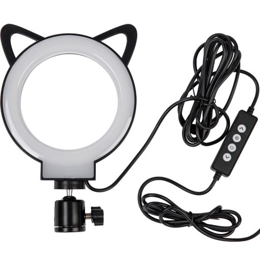 L8 - Image 6