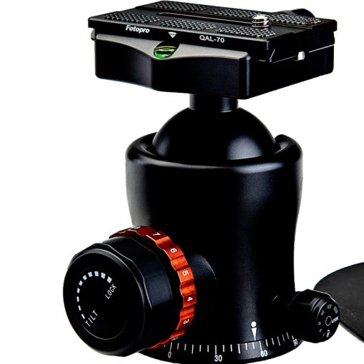 T7 - Image 2