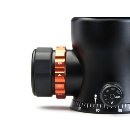 T7 - Image 4