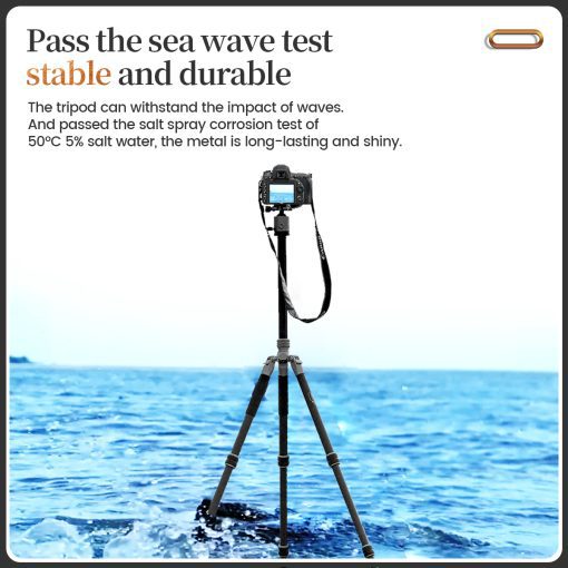 T-Roc One - Image 11