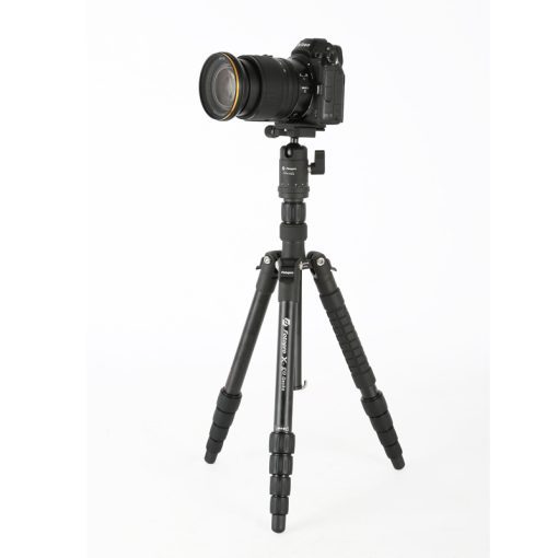X-go Gecko - Image 3