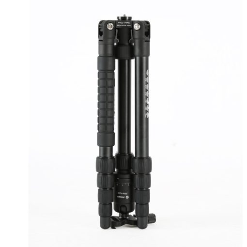 X-go Gecko - Image 2