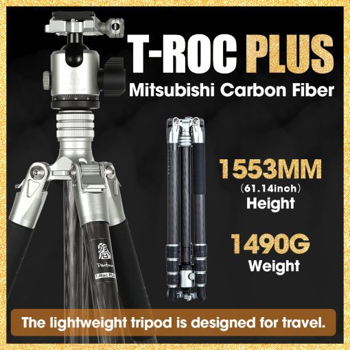 T-Roc Plus - Image 2