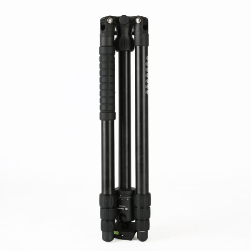 X-go Chameleon - Image 5