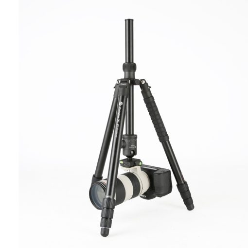 X-go Chameleon - Image 4