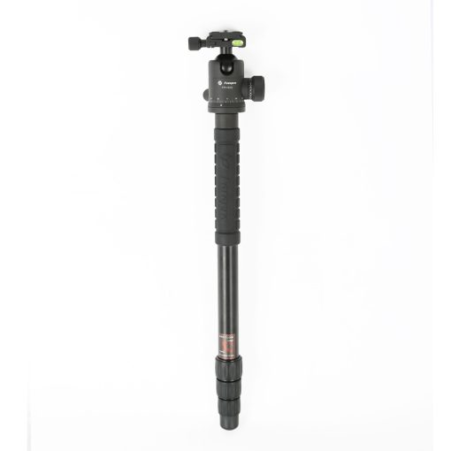 X-go Chameleon - Image 3
