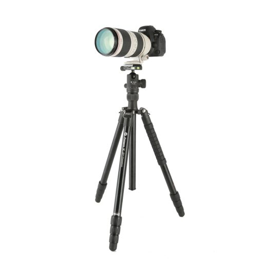 X-go Chameleon - Image 2