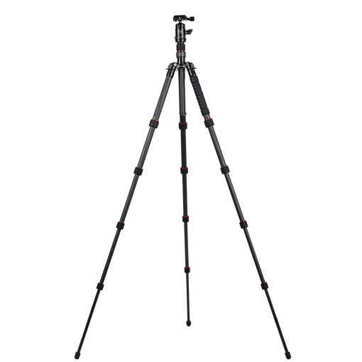 X-go - Image 6