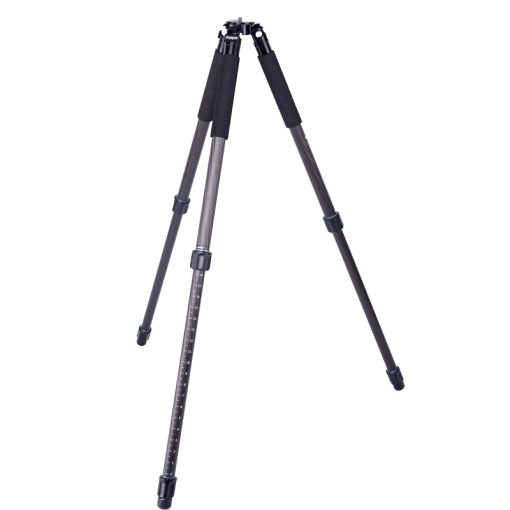 PGC-783 - Image 2