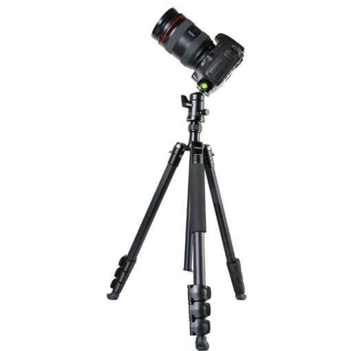 S4 - Image 4
