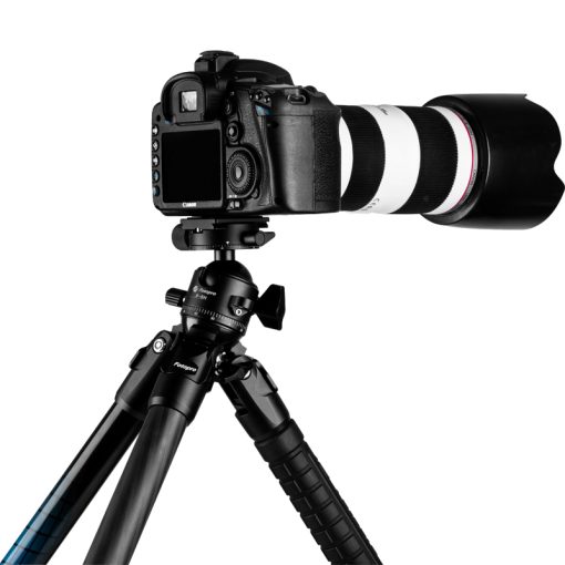 P-6 - Image 4