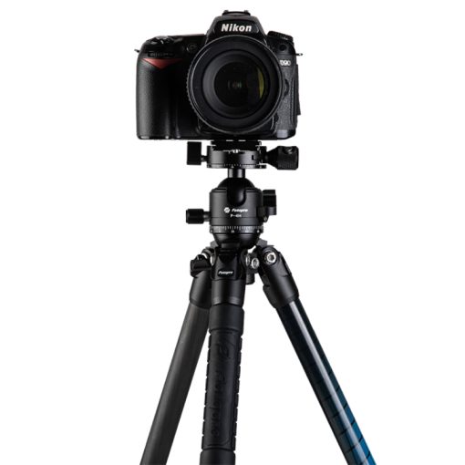 P-4 - Image 3