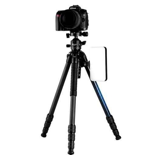P-4 - Image 4