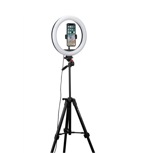 L4 - Image 6