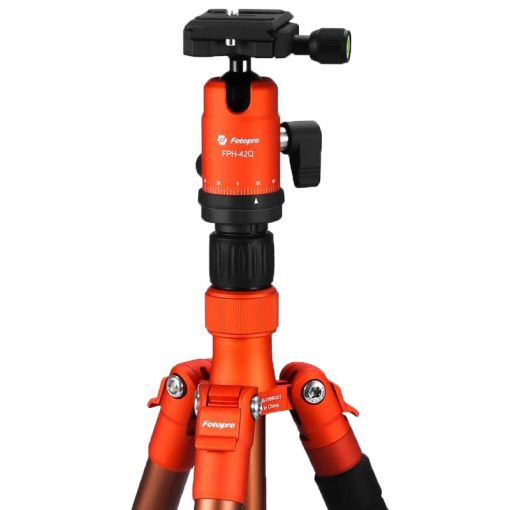 X-go Gecko - Image 4