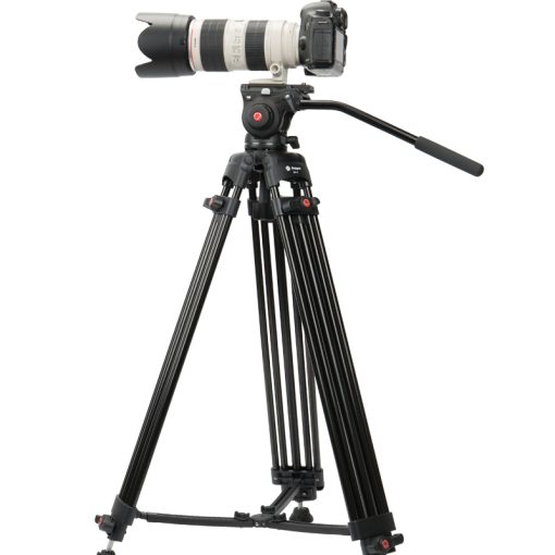 DV-1 - Image 3