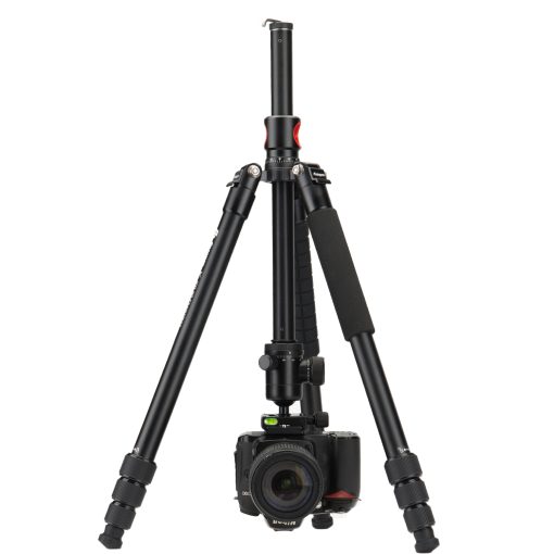 X-go HR Chameleon - Image 4