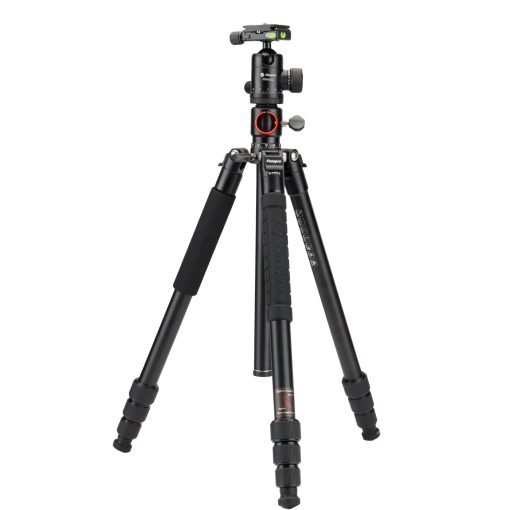 X-go HR Chameleon - Image 3