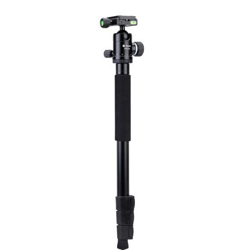F5 - Image 4