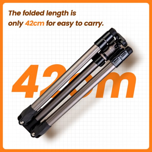 D5+42Q Basic Tripod - Image 3
