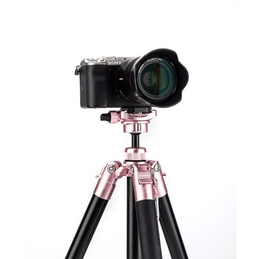 Free-1 Compact Tripod - Image 25