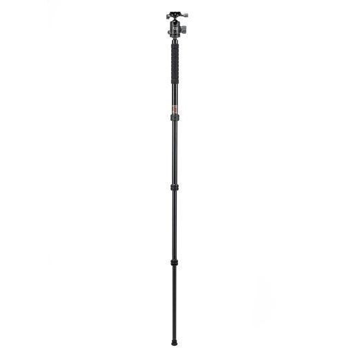X-go Chameleon E 2 - Image 3