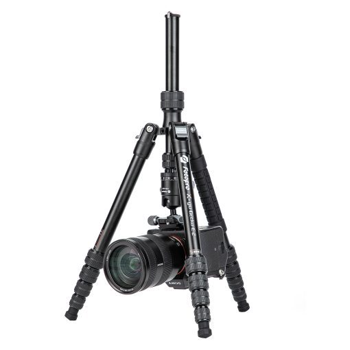 X-go Gecko E 2 - Image 3