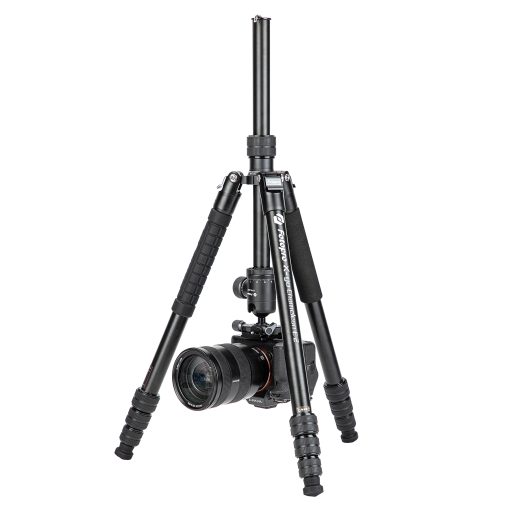 X-go Chameleon E 2 - Image 7