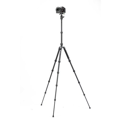 X-go Gecko E 2 - Image 7