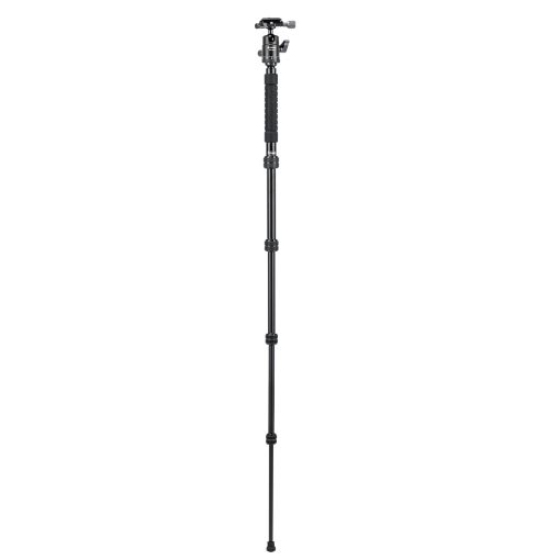 X-go Gecko E 2 - Image 6