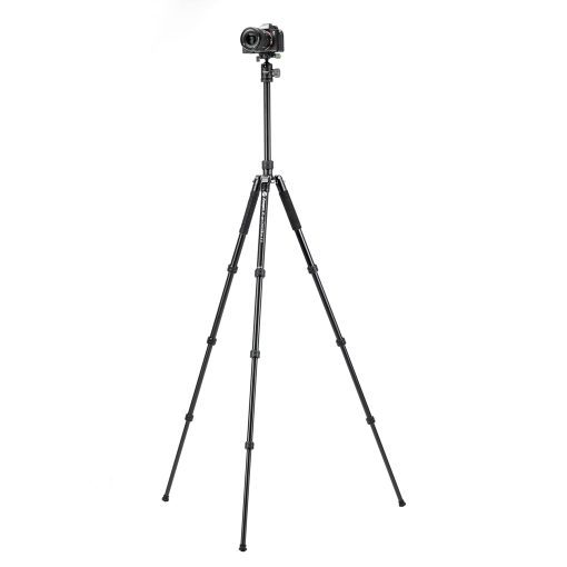 X-go Chameleon E 2 - Image 2