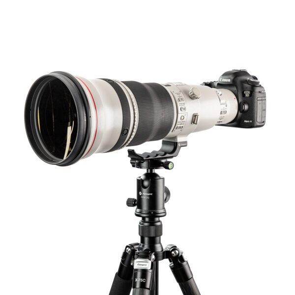 FLP-C10 - Image 4