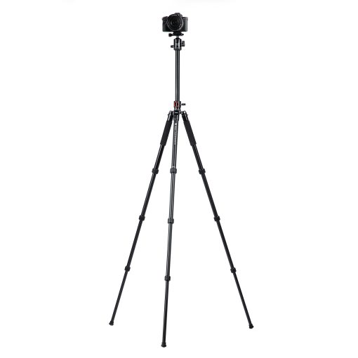 X-go HR Chameleon E 2 - Image 4