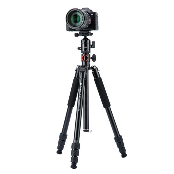 X-go HR Chameleon E 2 - Image 6